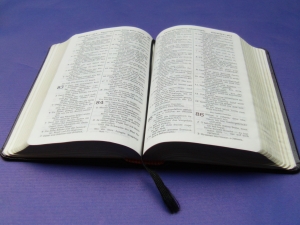 Die Neue Welt Übersetzung der Heiligen Schrift ist eine lesefreundliche und genaue Übersetzung der Bibel