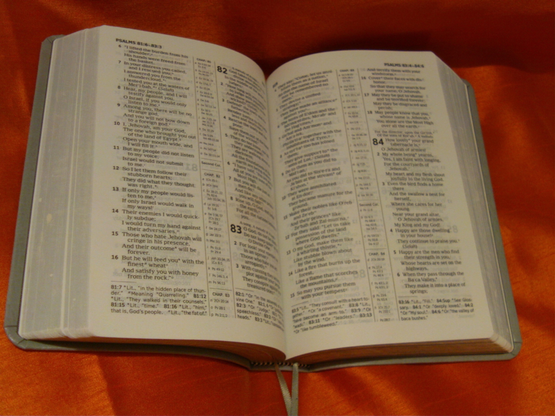 You are warmly invited to the worldwide Special Bible Talk 2024 (from