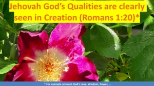 Jehovah God's Qualities are clearly seen in Creation